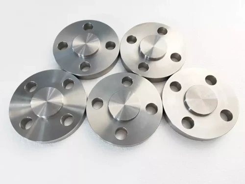 Titanium Flanges